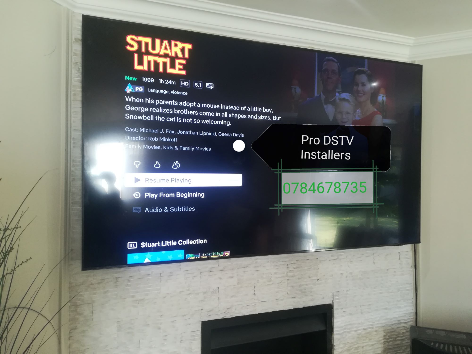 Big TV Mount